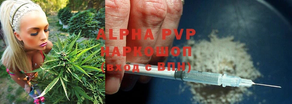 гидра Покров