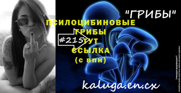 синтетический гашиш Абинск